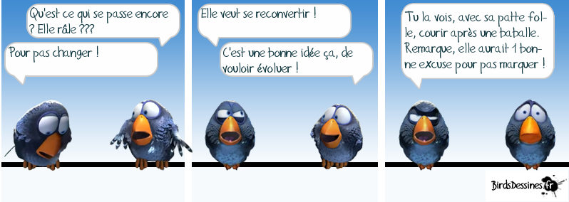 http://i42.servimg.com/u/f42/09/02/08/06/oiseau35.png