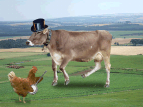 gifs dans gifs 17767610