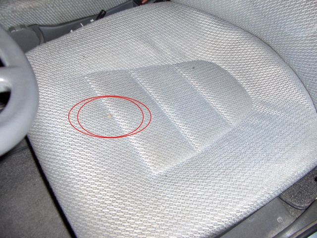hpim5815.jpg