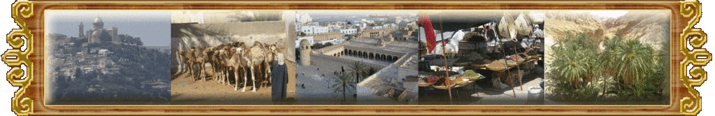 LA CULTURE DU MAGHREB