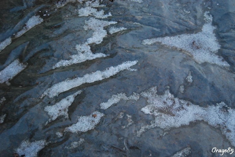 dsc_0212.jpg