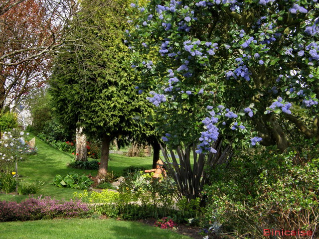 Belles scènes de jardins à Auray. dans Fleurs et plantes jardin22