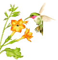 oiseau10.gif