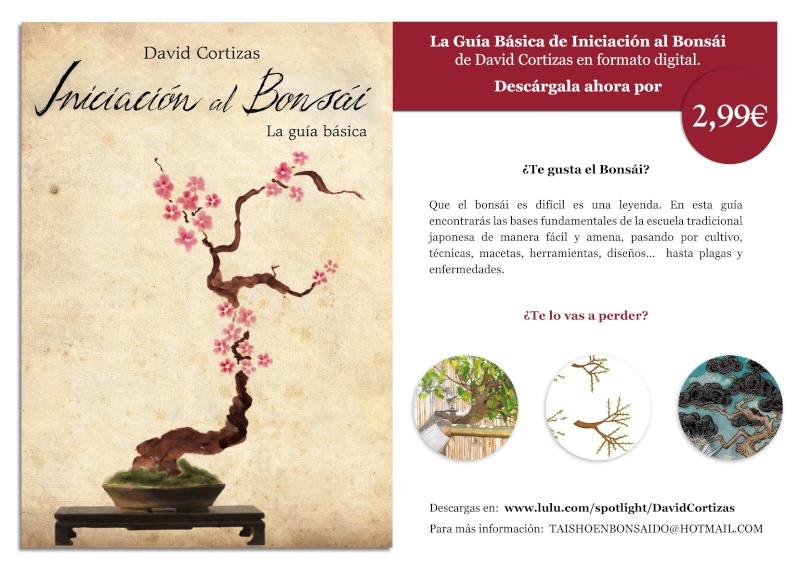 Iniciaci N Al Bonsai Edici N Digital Club Escuela De Bonsai Online