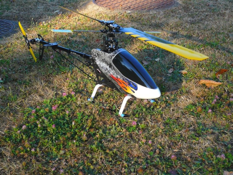 canopy10.jpg