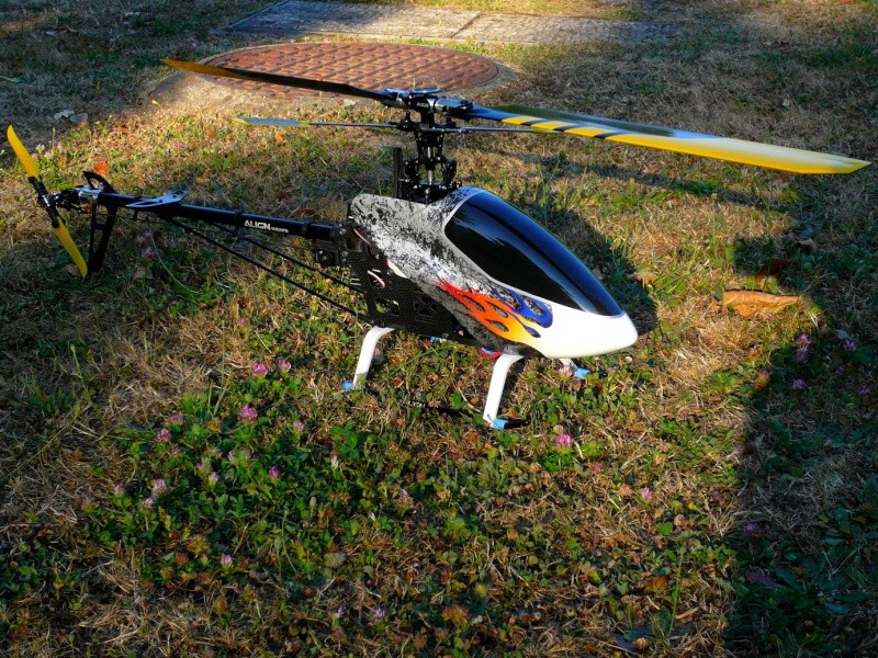 canopy12.jpg