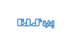 المدير العام المدير العام