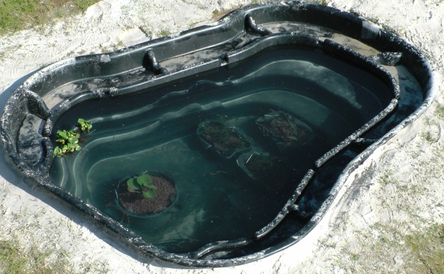 bassin de jardin 2000 litres
