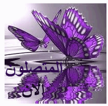 المتواجدون الآن ؟