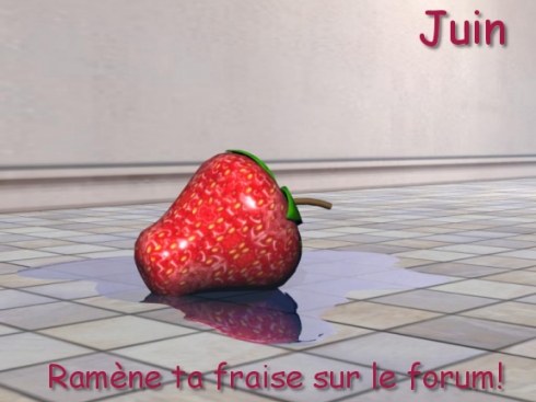 fraise10.jpg