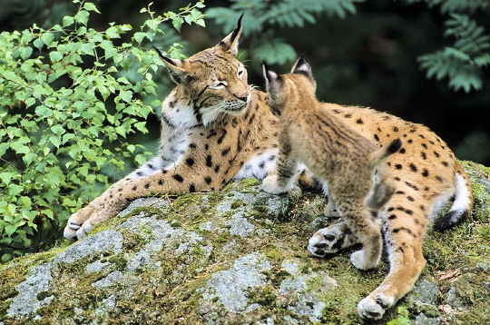 Amitie rencontre jura suisse
