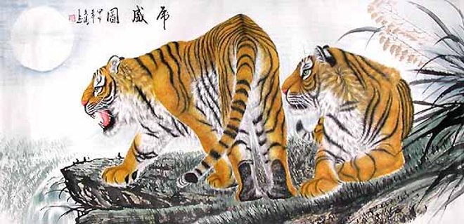 tigres10.jpg