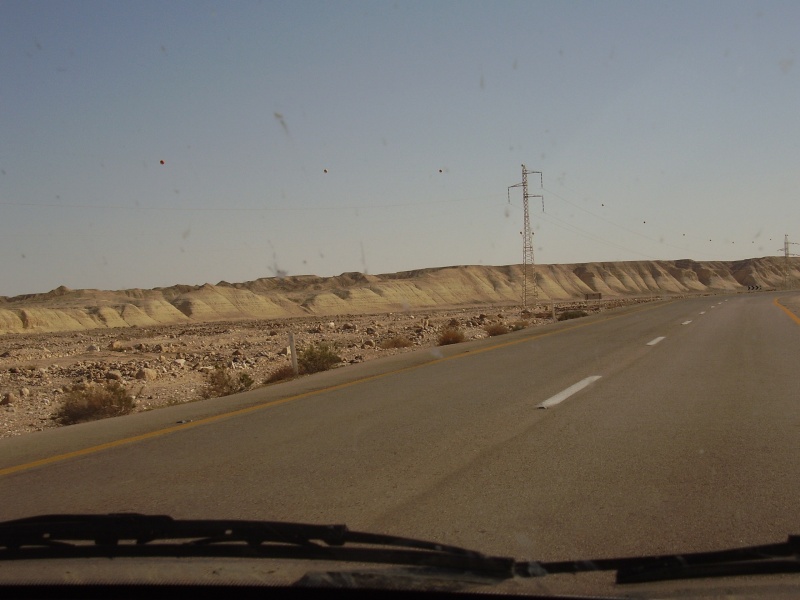 p2280116.jpg