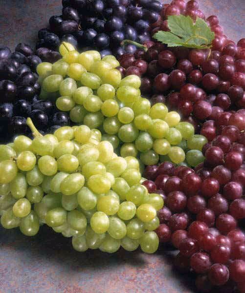 grapes10.jpg