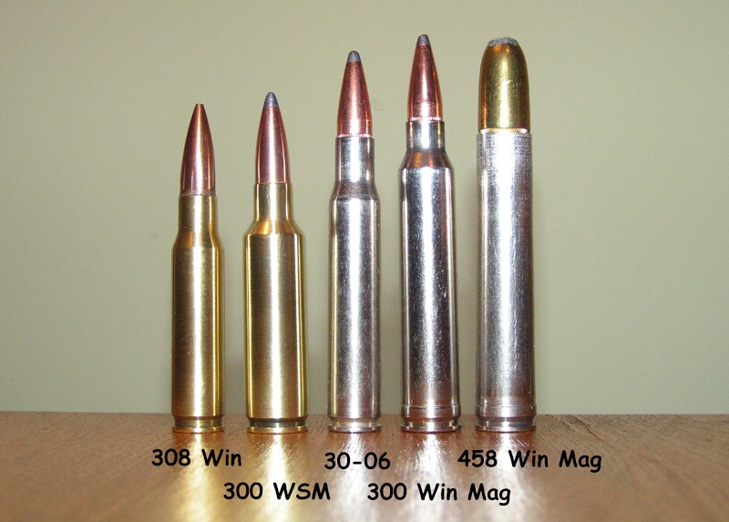 458 Win Mag Rifle.